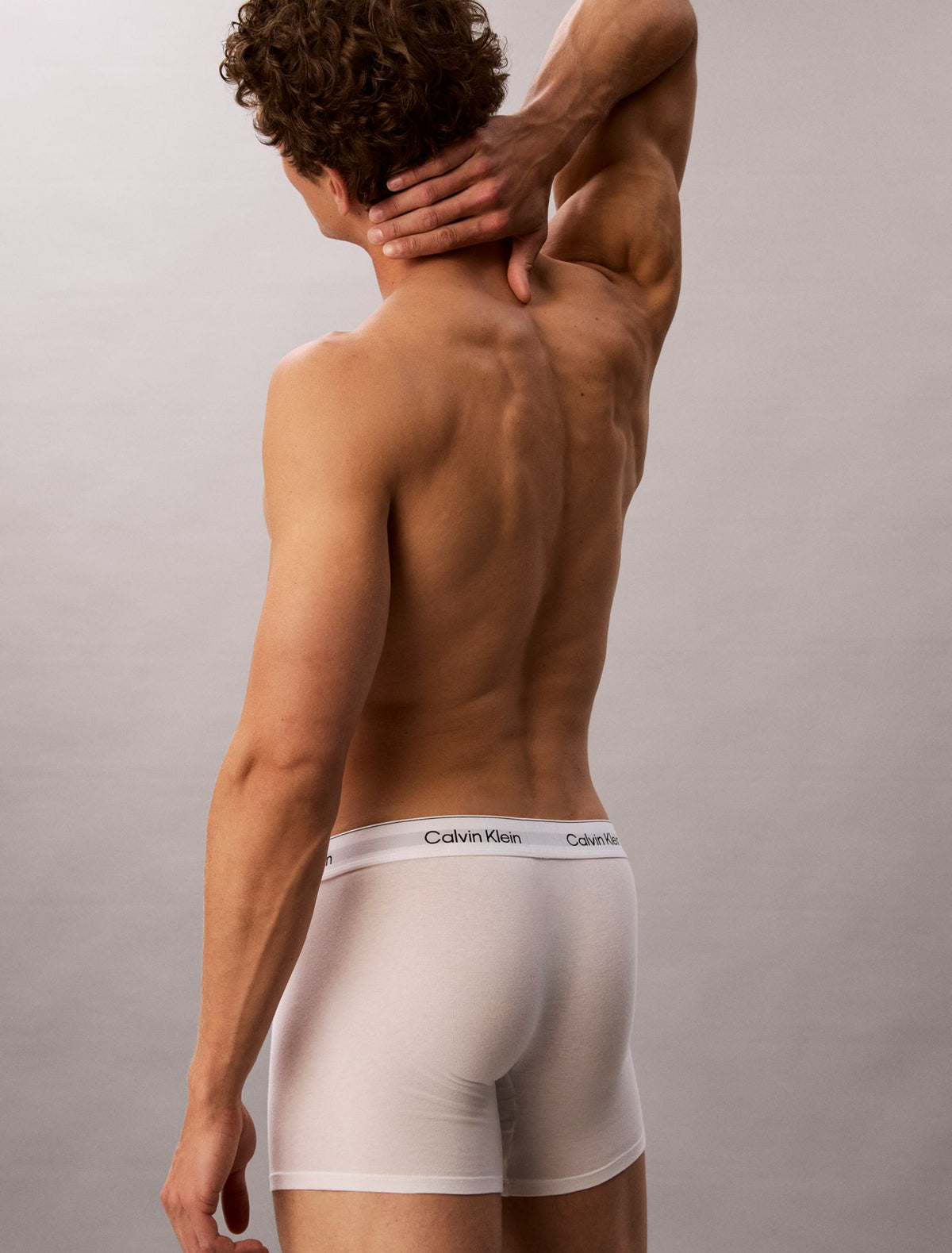 Icon Cotton Stretch 7-Pack Boxer Brief - Calvin Klein Underwear