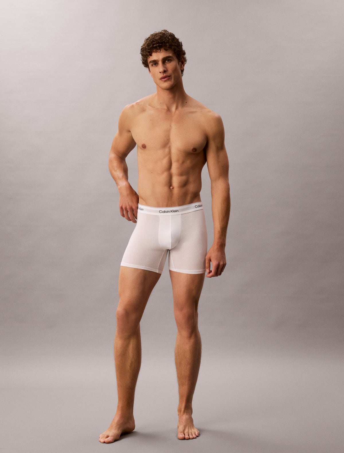 Icon Cotton Stretch 3-Pack Boxer Brief - Calvin Klein Underwear