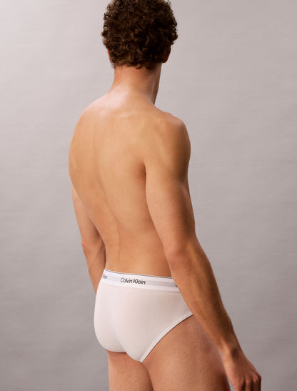 Icon Cotton Stretch 3-Pack Hip Brief - Calvin Klein Underwear