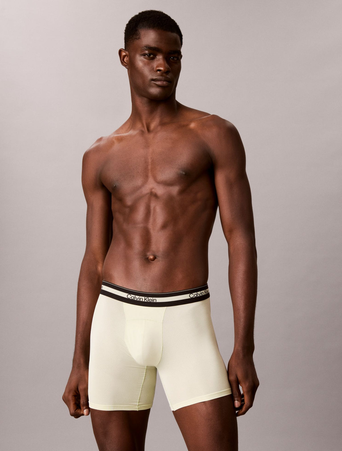 Icon Active Mesh 3-Pack Boxer Brief - Calvin Klein Underwear