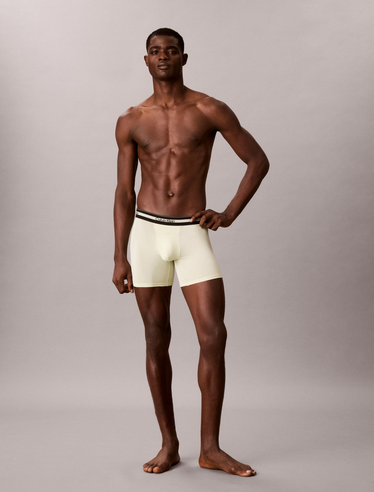 Icon Active Mesh 3-Pack Boxer Brief - Calvin Klein Underwear