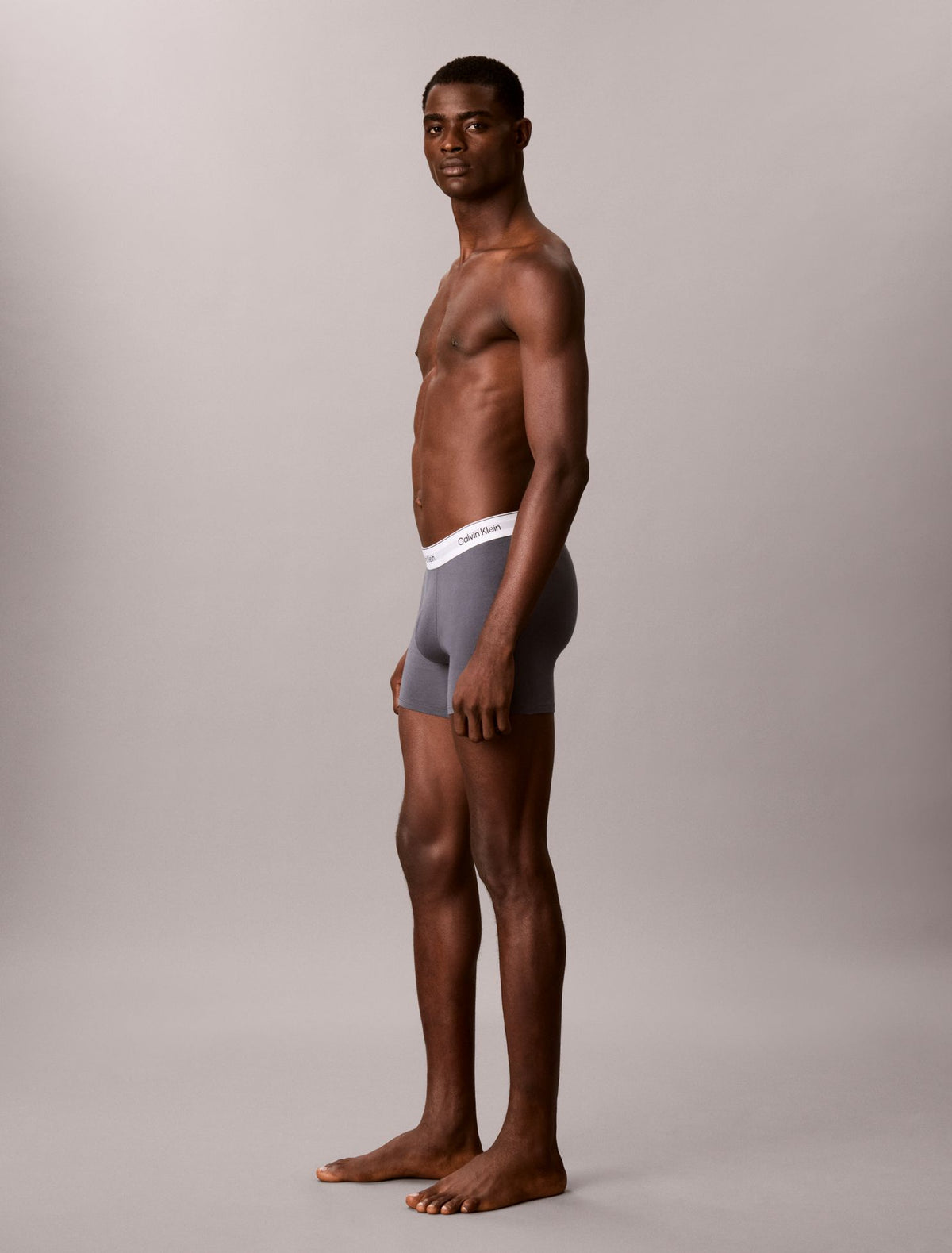 Icon Cotton Stretch 3-Pack Boxer Brief - Calvin Klein Underwear