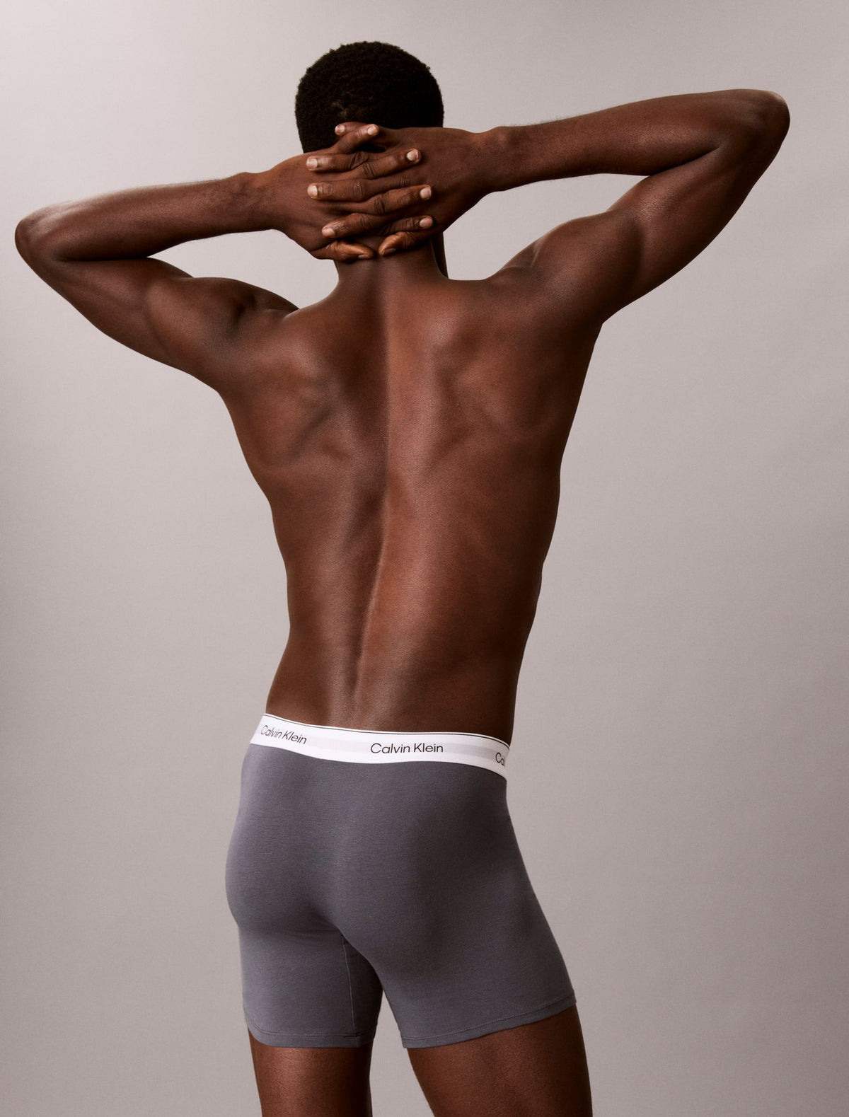 Icon Cotton Stretch 3-Pack Boxer Brief - Calvin Klein Underwear