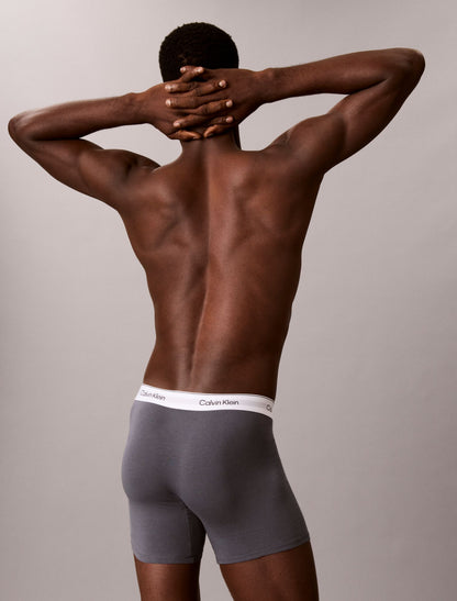 Icon Cotton Stretch 3-Pack Boxer Brief - Calvin Klein Underwear