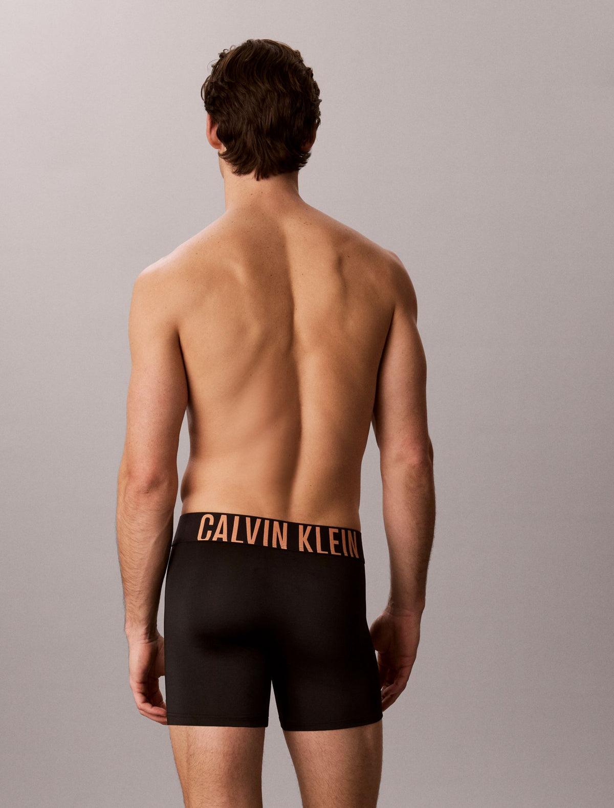 Intense Power Micro 3-Pack Boxer Brief - Calvin Klein Underwear