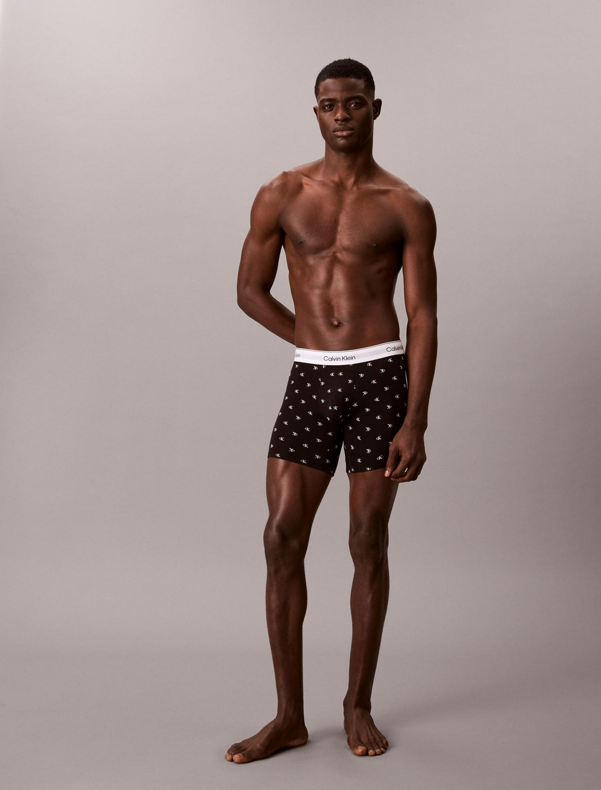 Icon Cotton Stretch 3-Pack Boxer Brief - Calvin Klein Underwear