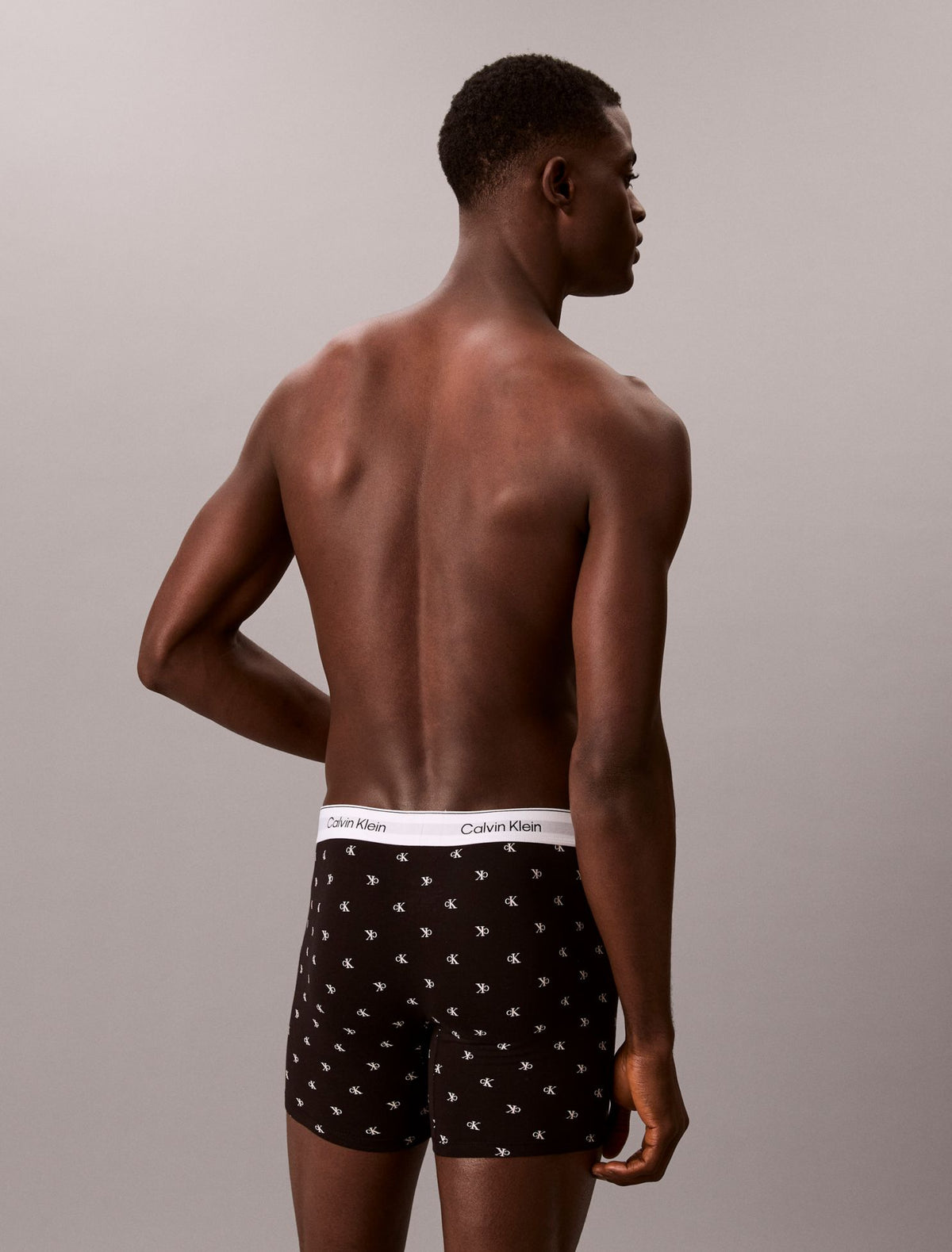 Icon Cotton Stretch 3-Pack Boxer Brief - Calvin Klein Underwear