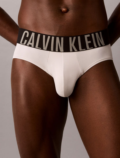 Intense Power Micro 3-Pack Hip Brief - Calvin Klein Underwear