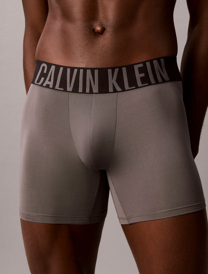 Intense Power Micro 3-Pack Boxer Brief - Calvin Klein Underwear