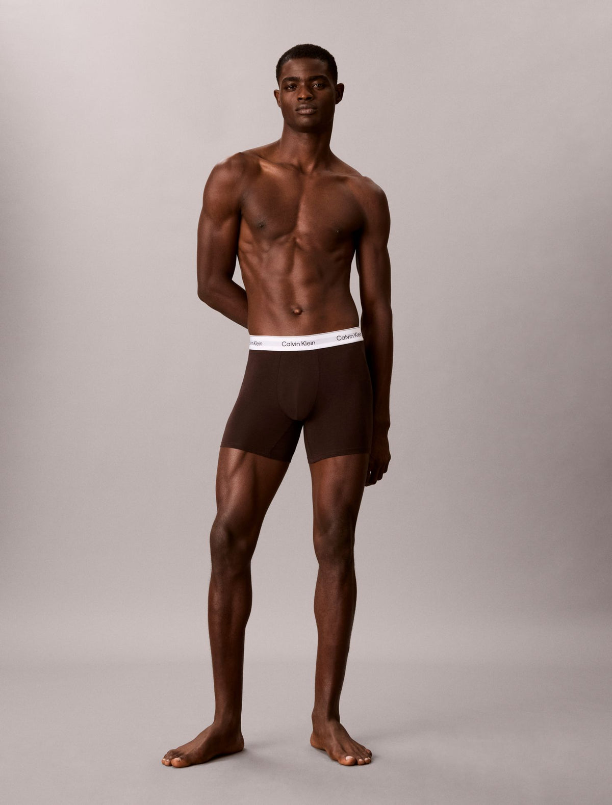 Icon Cotton Stretch Boxer Brief - Calvin Klein Underwear