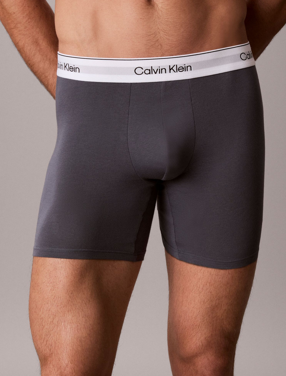 Icon Cotton Stretch Boxer Brief - Calvin Klein Underwear