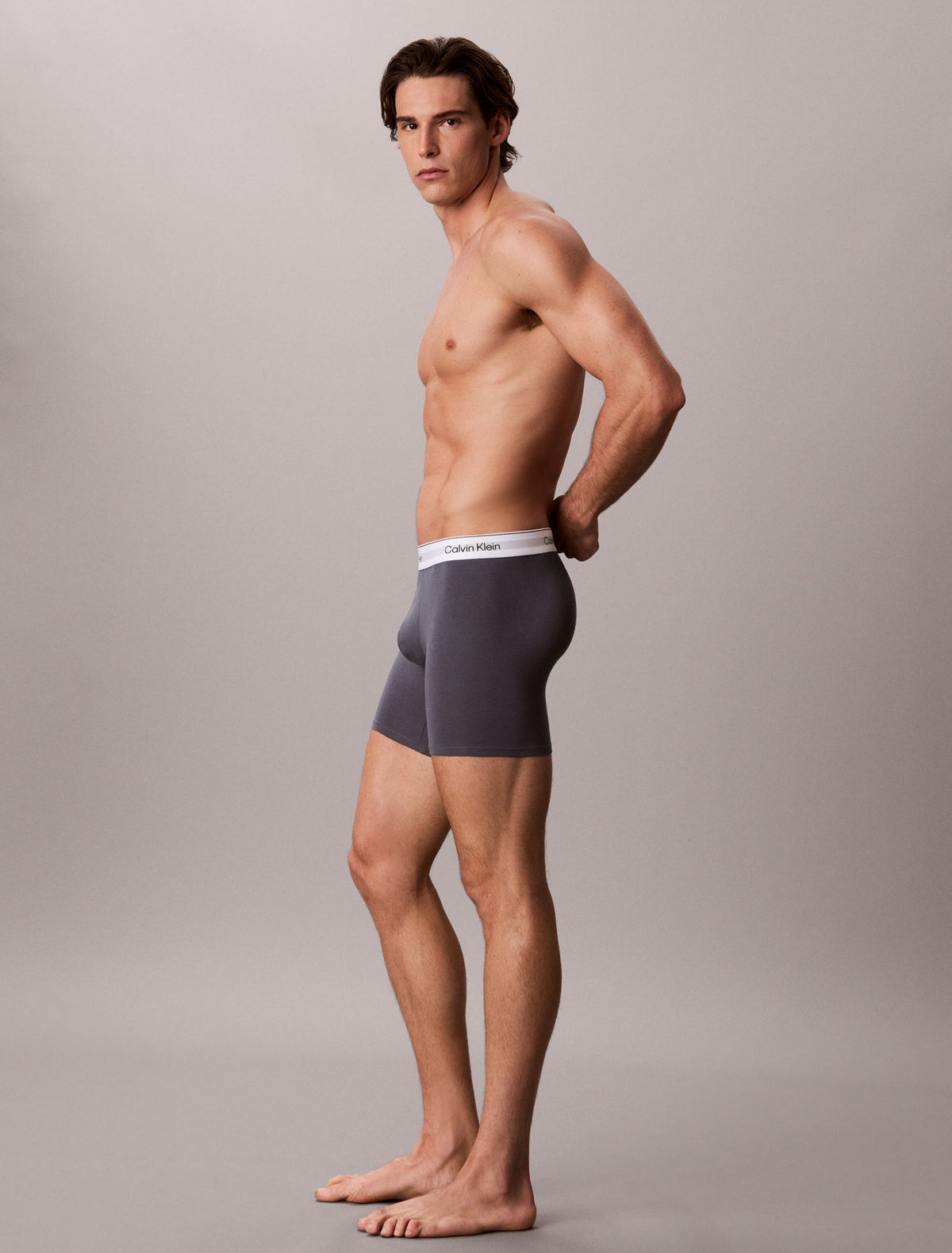 Icon Cotton Stretch Boxer Brief - Calvin Klein Underwear