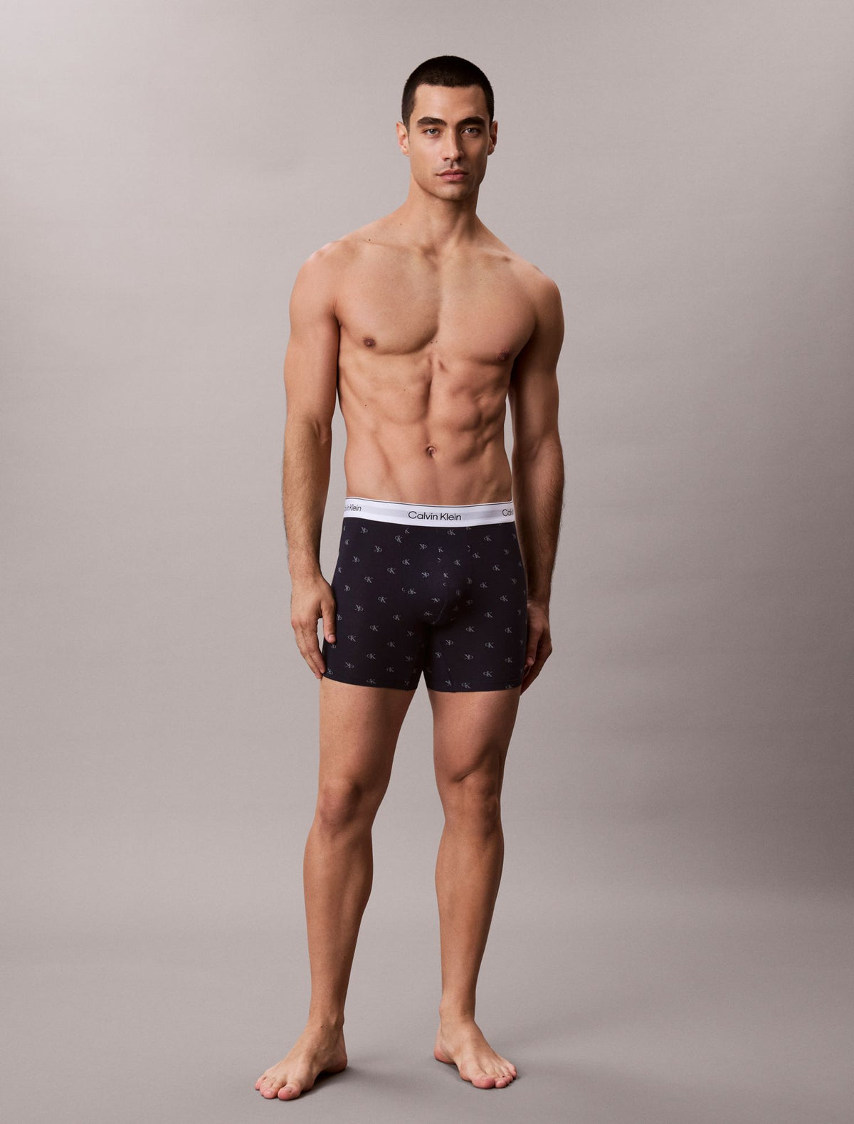 Icon Cotton Stretch Boxer Brief - Calvin Klein Underwear