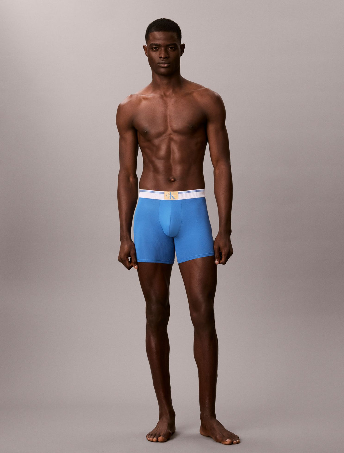 Graphic Monogram Microfiber Stretch Rib Boxer Brief - Calvin Klein Underwear