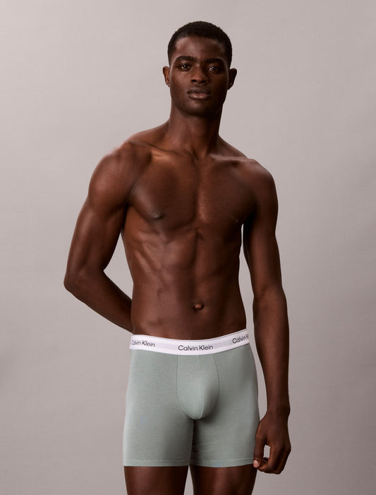 Icon Cotton Stretch Boxer Brief - Calvin Klein Underwear