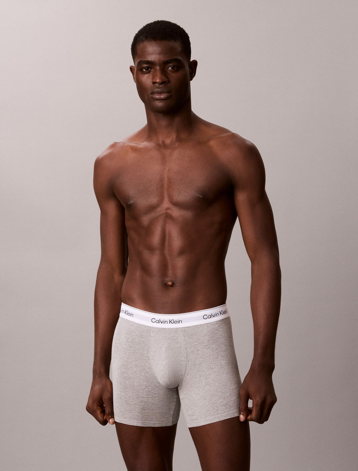 Icon Cotton Stretch Boxer Brief - Calvin Klein Underwear