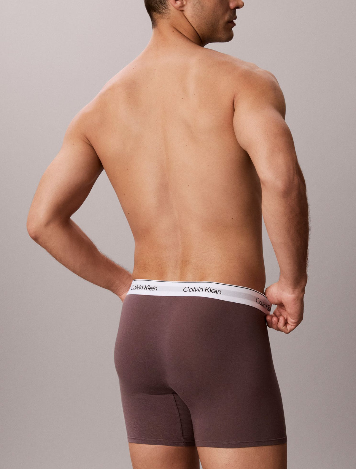 Icon Cotton Stretch Boxer Brief - Calvin Klein Underwear
