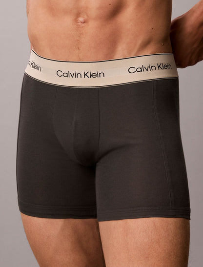Heritage Cotton Stretch 3-Pack Boxer Brief - Calvin Klein Underwear