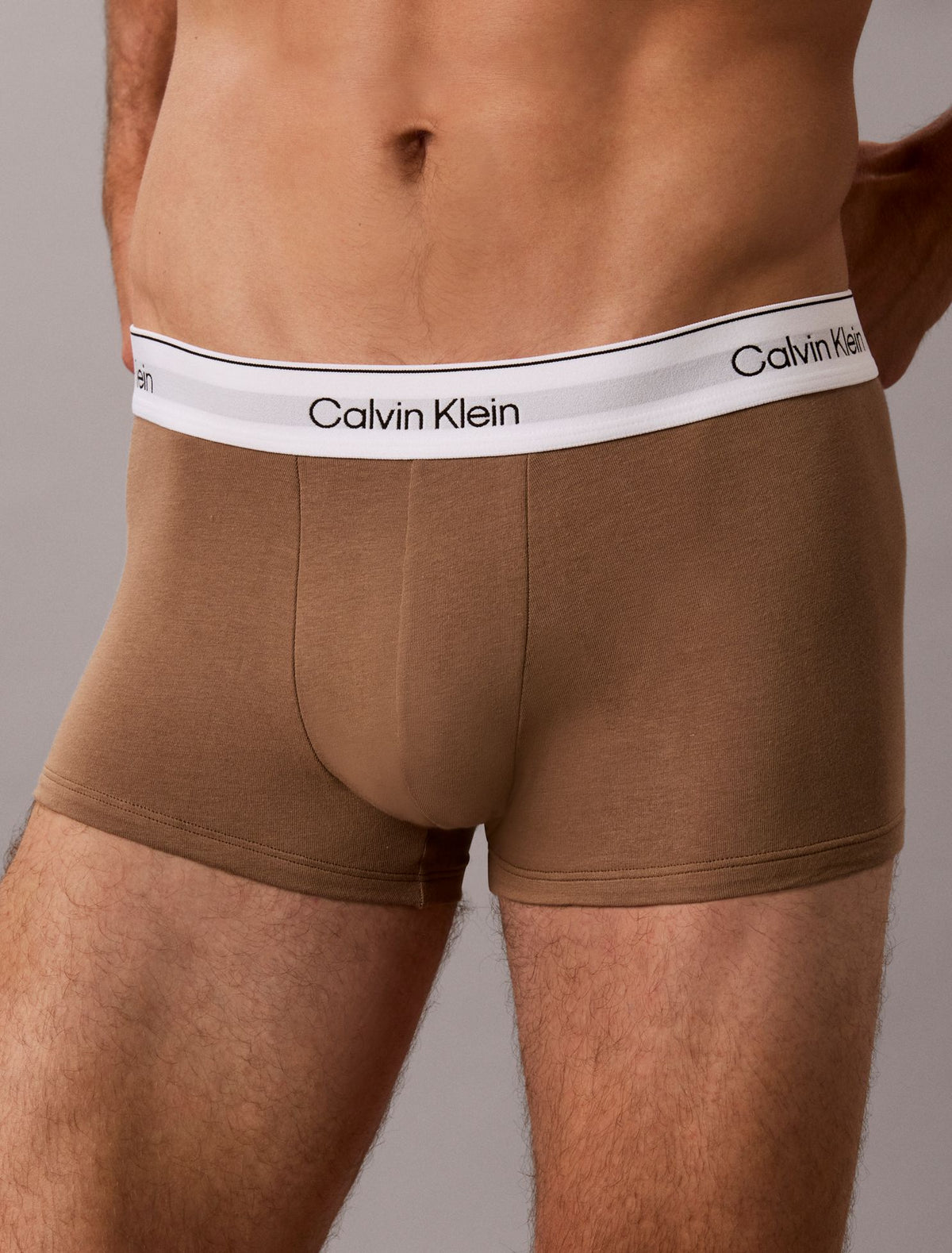Icon Cotton Stretch Low Rise Trunk - Calvin Klein Underwear