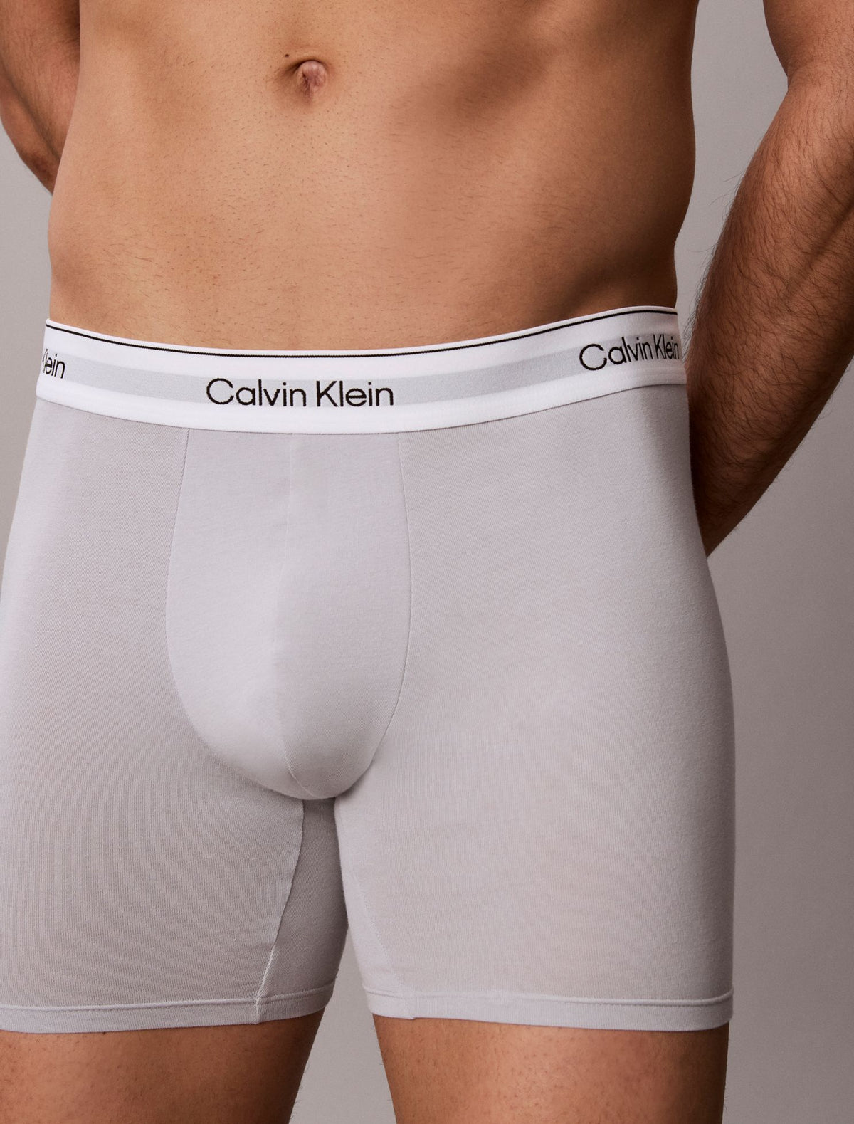 Icon Cotton Stretch Boxer Brief - Calvin Klein Underwear