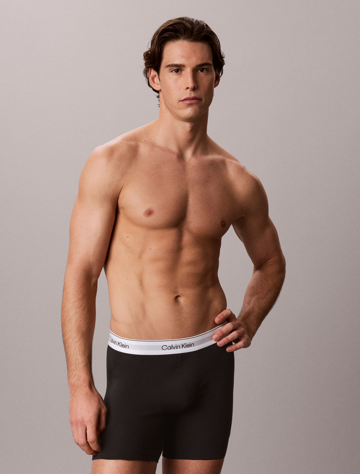 Icon Cotton Stretch Boxer Brief - Calvin Klein Underwear