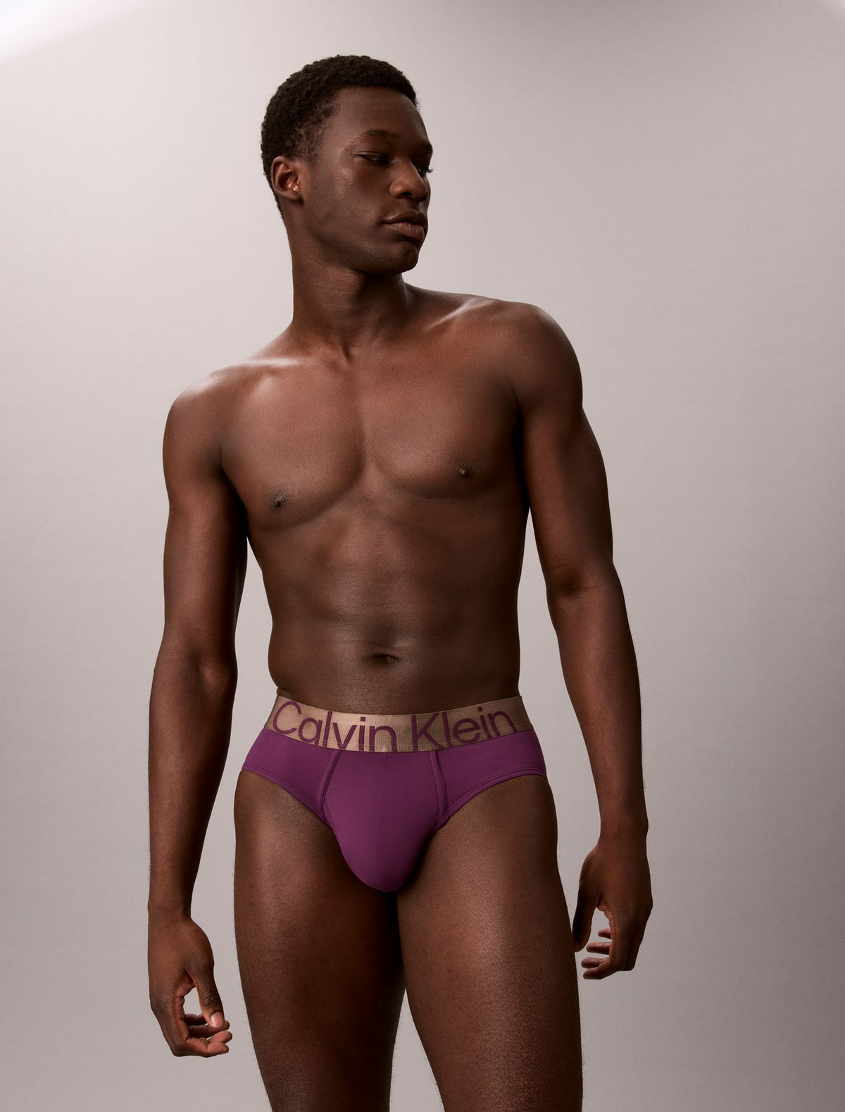 Brushed Microfiber Stretch Bronze Hip Brief - Calvin Klein Underwear