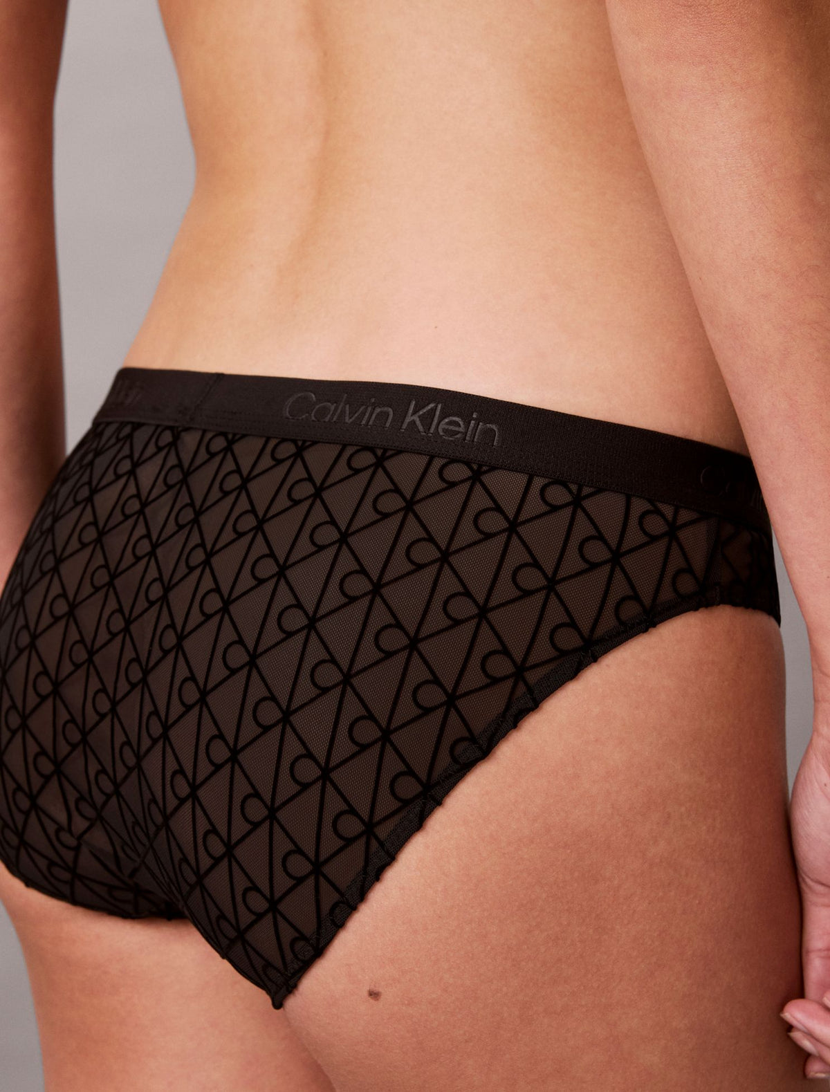 Emblem Flocked Mesh Bikini - Calvin Klein Underwear