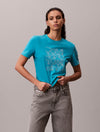 Teal Slate