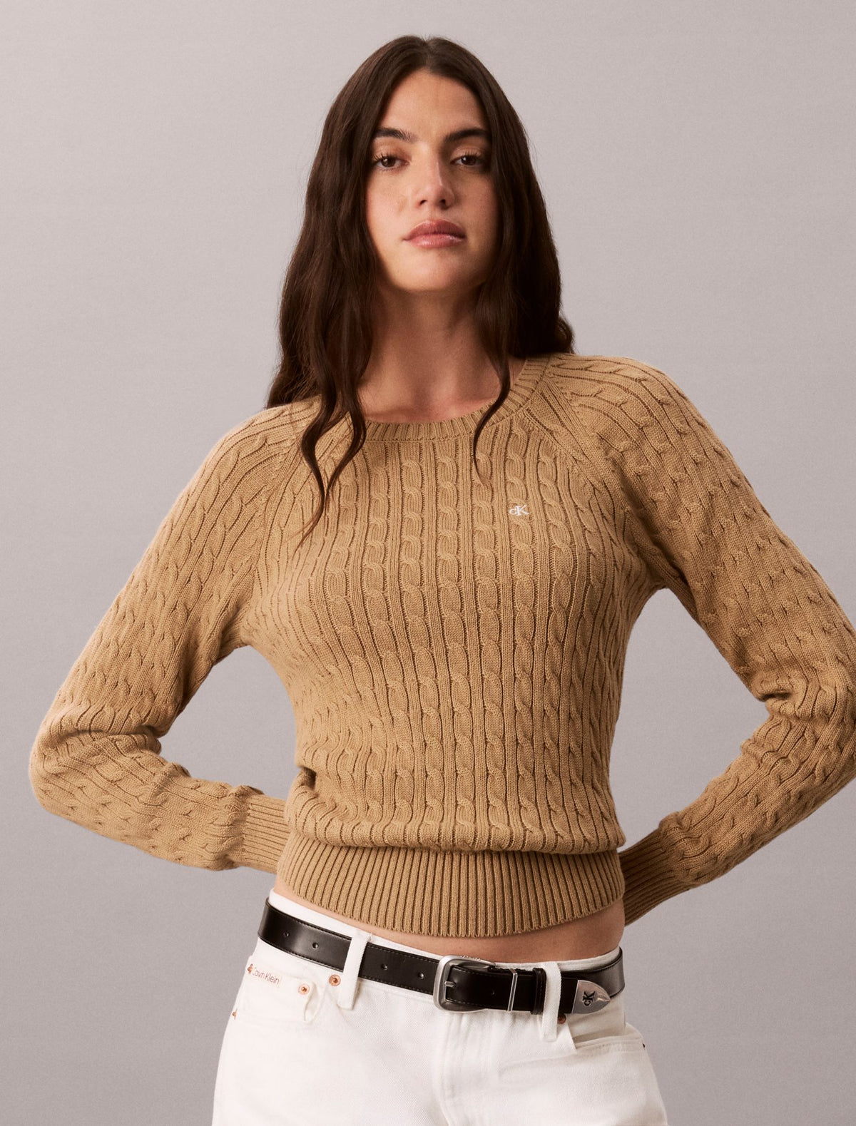 Cable Knit Crewneck Sweater - Calvin Klein Women