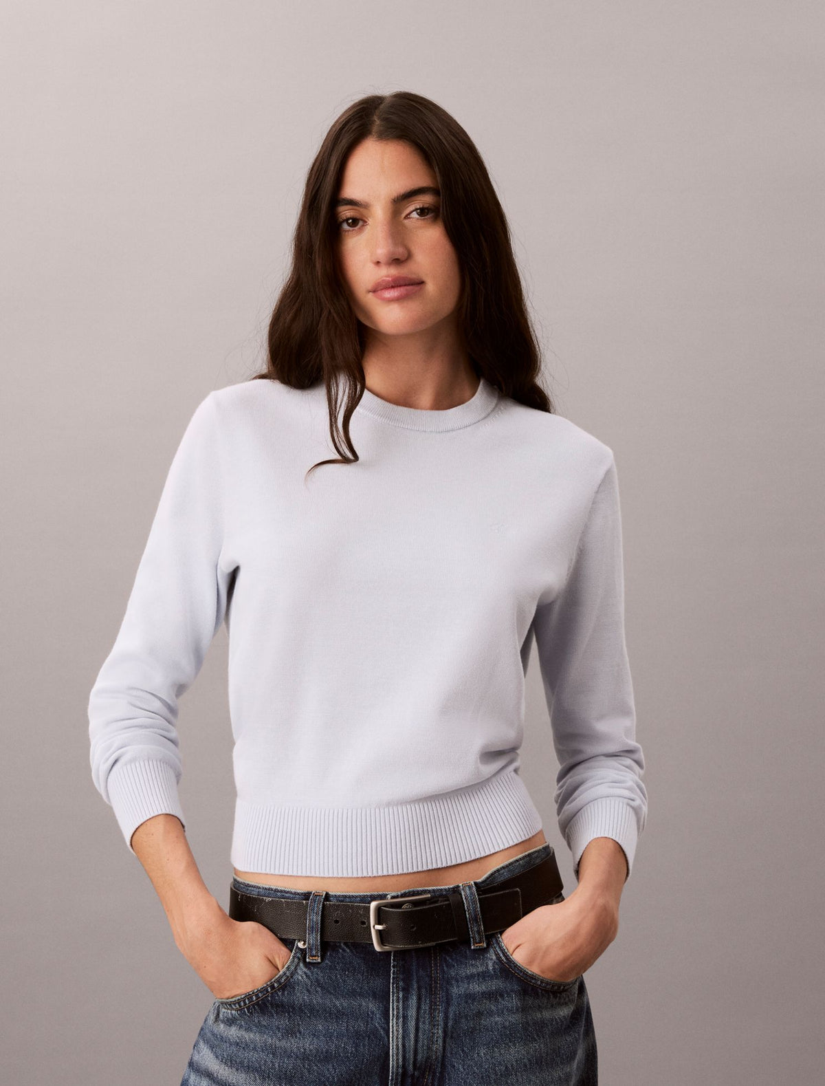 Smooth Cotton Crewneck Sweater - Calvin Klein Women